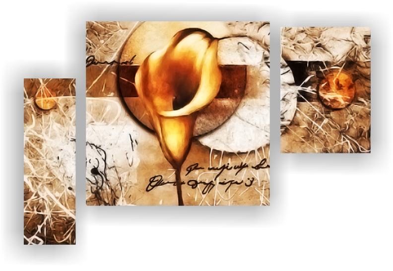 tablouri cu flori - cala aurie  tablouri cu flori - cala aurie